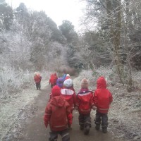 Woodland Outdoor Kindergartens logo - Similar company to Inspired Kindergartens