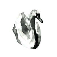 Black Swan Events  |  Événements Cygne Noir logo - Similar company to La Forêt Noire Restaurant