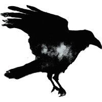 Maniac Ediciones logo - Similar company to Thk Soluciones