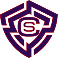 C-SAFE Ciberseguridad logo - Similar company to Thor Cybsec