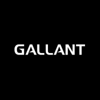 Gallant Sports logo - Similar company to Gravity Force