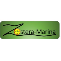 Zostera-Marina logo - Similar company to Kangaroo Robotics 🦘