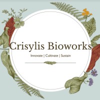 Crisylis Bioworks logo - Similar company to Bacplex Technologies