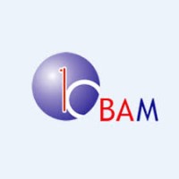 BAM Holdings Ltd logo - Similar company to Alma Mater Studiorum – Università Di Bologna