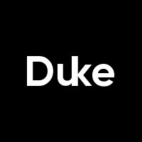 Duke Consulting logo - Similar company to Guest Pet