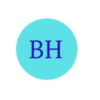 BrigeHealth.Com logo - Similar company to First Dentist Marketing Inc
