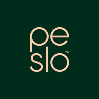 Peslo - Full Stack Digital Agency logo - Similar company to Perception - Teslacam Viewer