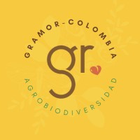 Gramor Colombia logo - Similar company to Agora Solutions