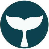 BelugaPay logo - Similar company to Sinttecom