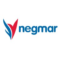 Negmar logo - Similar company to Sınavboard