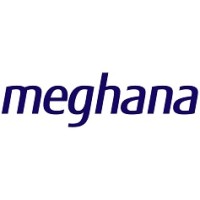 Meghana IT Services LLP logo - Similar company to Hostrik