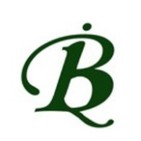 BidQ Market Research logo - Similar company to Research Brooks Limited