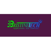 BristineTech logo - Similar company to Taulab