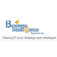 Business Intelligence Systems, INC logo - Similar company to Techsnippy