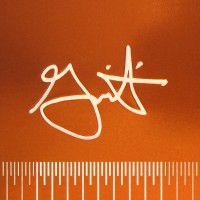 Gemmiti Model Art logo - Similar company to Kkau