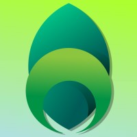 Asset Patrimonial E Informatica Ltda