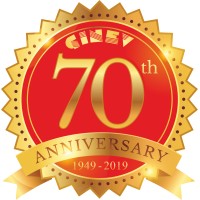 NUOVA GINEV SRL logo - Similar company to Asco Systems Srl