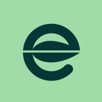 Future Element logo - Similar company to Go2Lithium