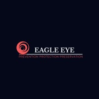 Eagle Eye Security Group logo - Similar company to Eagle Security Systems