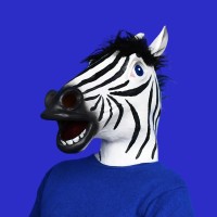 Release The Zebra logo - Similar company to Ami Build