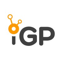 IGP logo - Similar company to Netsoft Technologies