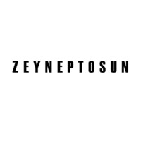 Zeynep Tosun logo - Similar company to Vsp