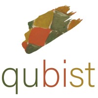 Qubist Pty Ltd logo - Similar company to E3 Advisory