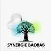 SYNERGIE BAOBAB Diobass ☘️ Agro-ecologie logo - Similar company to Innov'Dev
