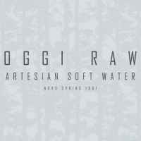 OGGI RAW logo - Similar company to Javaguru