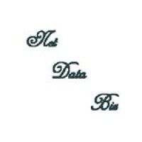 Netdatabiz.com logo - Similar company to Nsr Creative