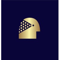 Agora Politix logo - Similar company to Vermas