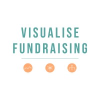 Visualise Fundraising logo - Similar company to W4Sight Llc