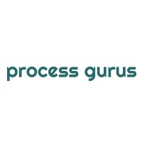 Process Gurus logo - Similar company to Bootstrapps.Co