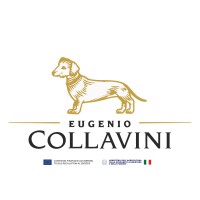 Collavini logo - Similar company to Primosic Srl