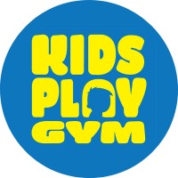 Kids Play Gym