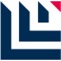 LLi.agency LTD logo - Similar company to Wiselli