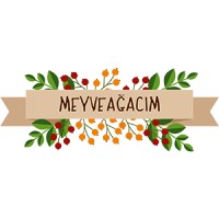 Meyveagacim.com logo - Similar company to Toptan Tarım
