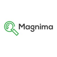 Magnima LLC logo - Similar company to Evoktra Consultancy
