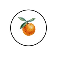 The Orange Guide logo - Similar company to Sprankelend Spanje