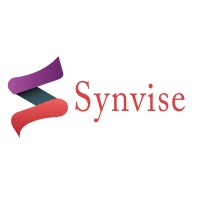 Synvise Infotech logo - Similar company to Techorigine It Solution