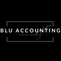 BLU Accounting logo - Similar company to Local Easy
