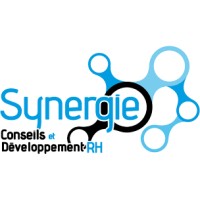 SYNERGIE SOLUTIONS CONSEILS ET DÉVELOPPEMENT RH INC logo - Similar company to Synergie Tech Solutions, Llc