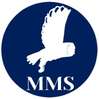 Metis Management Solutions logo - Similar company to Quickstudy