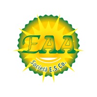 ELETTRONICA APPLICAZIONE & AUTOMAZIONE logo - Similar company to Il Dizionario Dell'Automazione