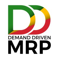 DDMRP CONSULTING MOROCCO logo - Similar company to Riseedge Ai