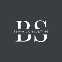 BSPro Consulting logo - Similar company to Bspro Corporation