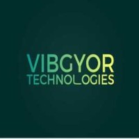 Vibgyor Technologies logo - Similar company to Synnectify