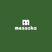 Messoka logo - Similar company to Exampraxis