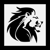 Torasko Holding B.V. logo - Similar company to Double Mane