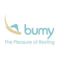 BUMY (Wellmarket SA de CV)